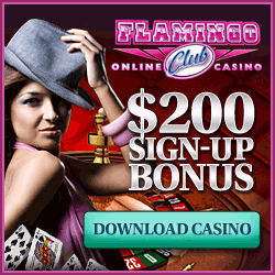 Flamingo club bonus photo
